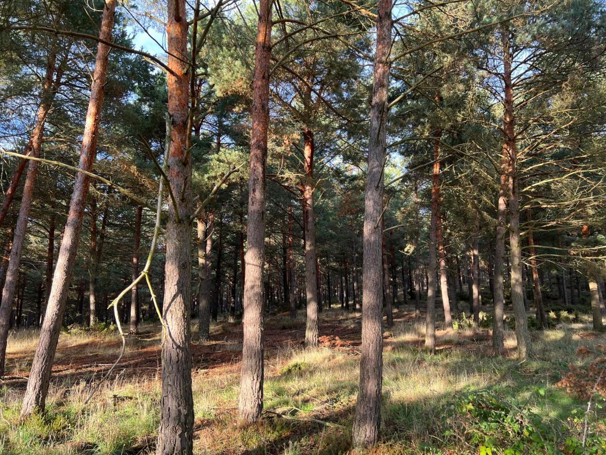 El Pecu Casa Rural Starfamiliar Bustillo Del Paramo Eksteriør billede