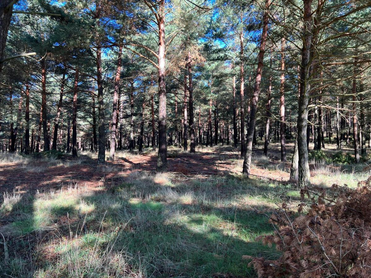 El Pecu Casa Rural Starfamiliar Bustillo Del Paramo Eksteriør billede
