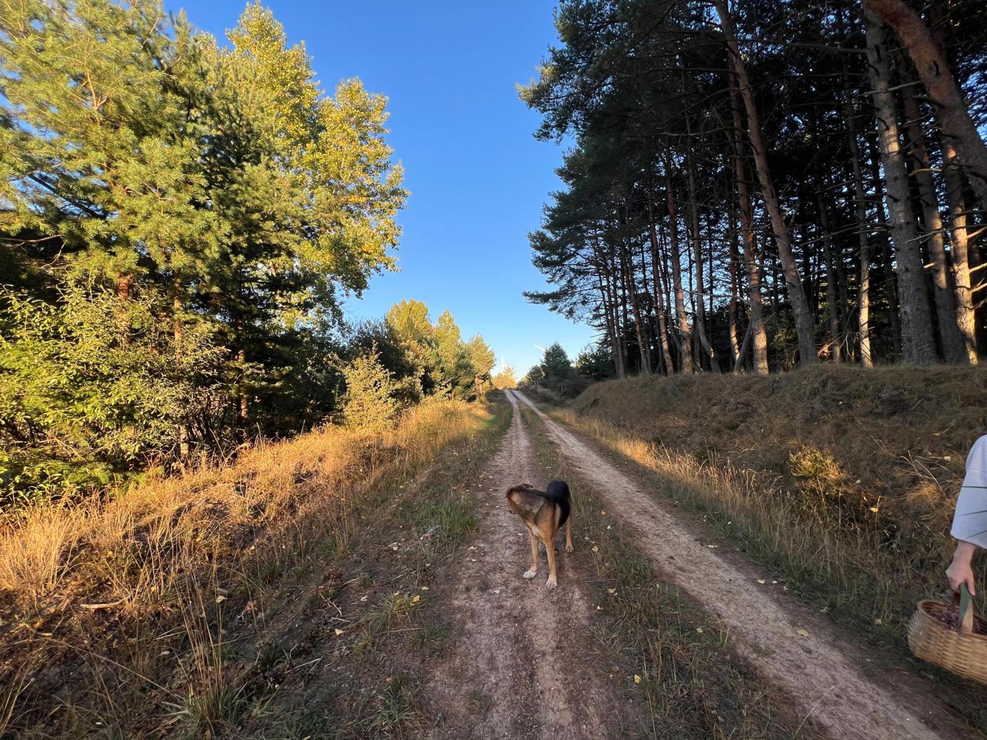 El Pecu Casa Rural Starfamiliar Bustillo Del Paramo Eksteriør billede
